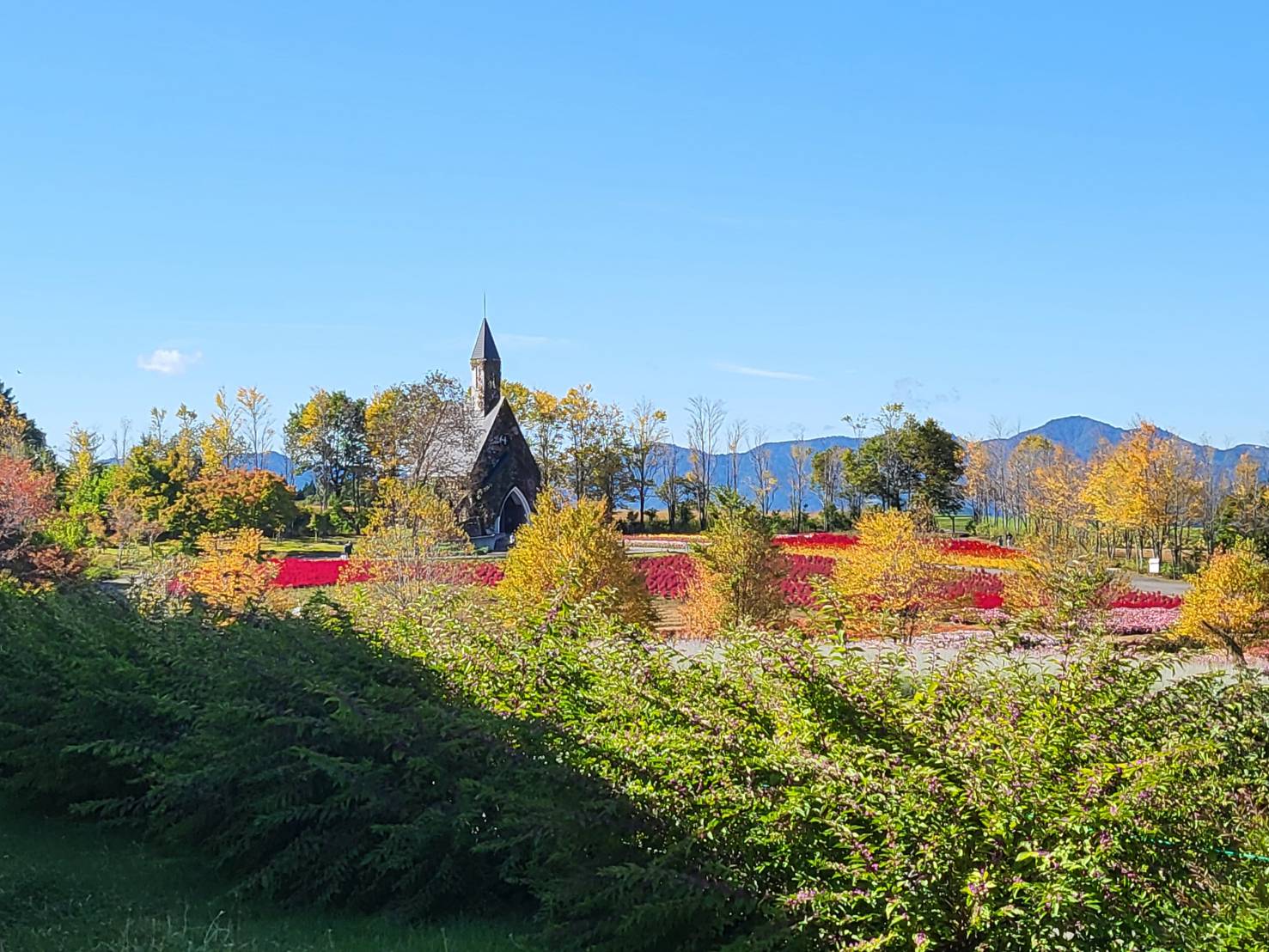 郡上八幡ライオンズクラブとの合同例会を開催いたしました。｜