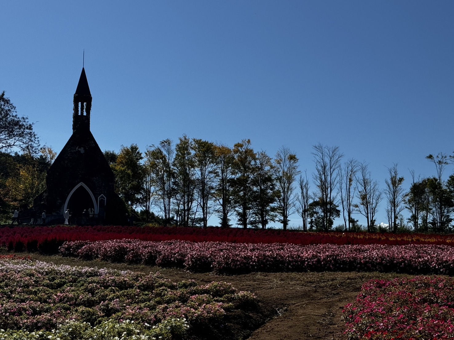 郡上八幡ライオンズクラブとの合同例会を開催いたしました。｜